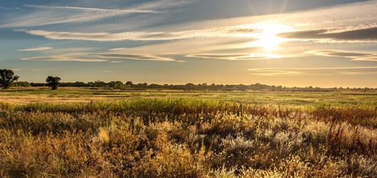 The Enchanting Side of Florin, California