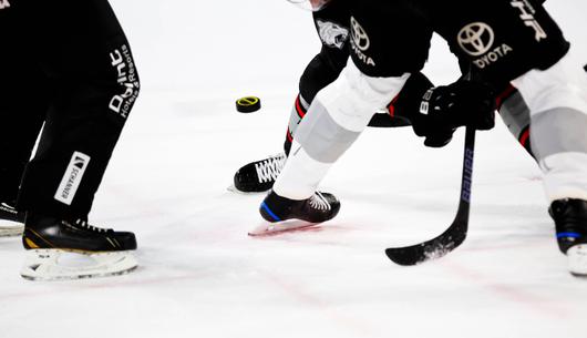 The AHL And NHL Hockey Games To Watch This Month