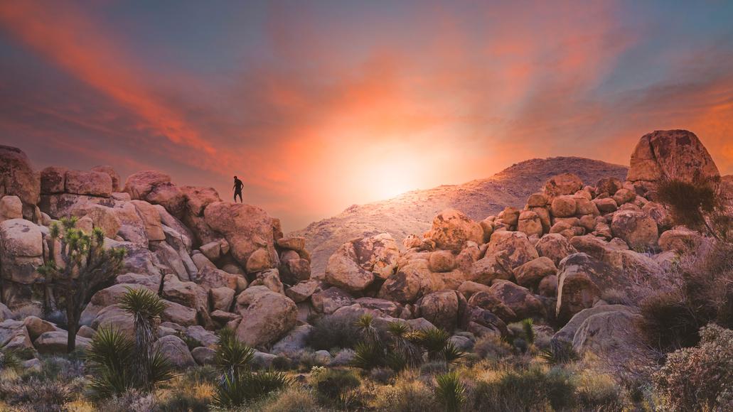 A Guide to The Best Hikes in Joshua Tree
