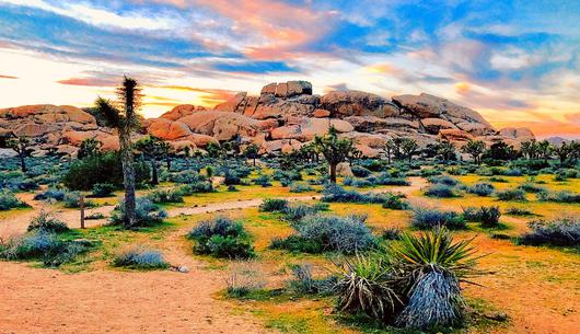 Getaway Guide: Your Joshua Tree Itinerary