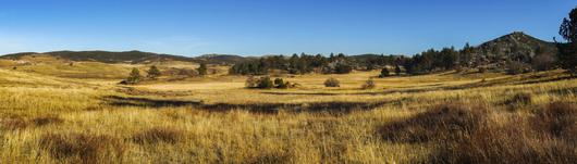 Alpine's Hidden Treasures: A Haven of Serenity in Southern California