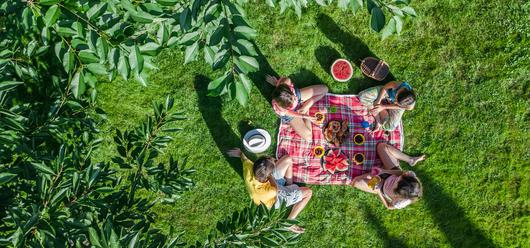 Ashland, California: A Haven for Tranquility and Recreation