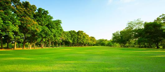 Bostonia, California: A Hidden Gem Bursting with Delights