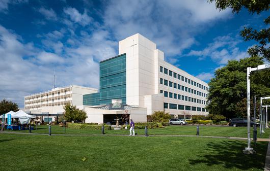 Carmichael: Discover the Charm of Sacramento's Delightful Suburb