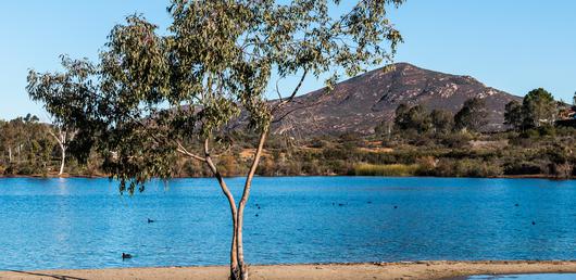 Discovering the Hidden Gem: Casa de Oro-Mount Helix, California
