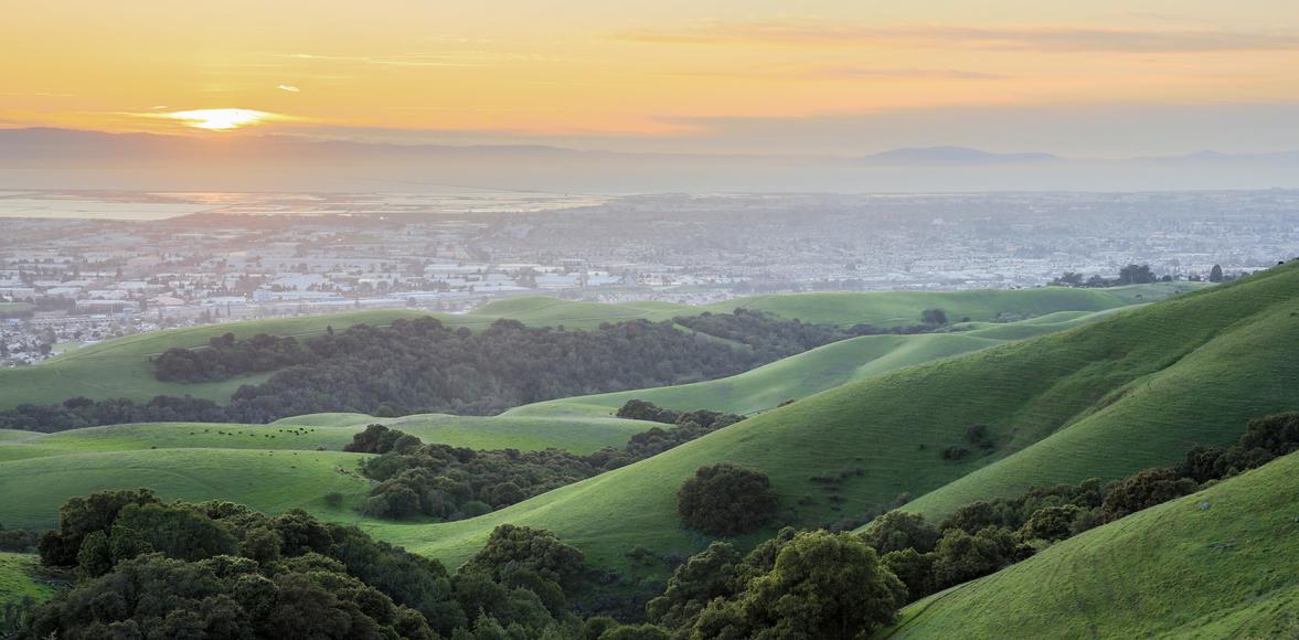 Experience the Charm: The Endless Perks of Living in Cherryland, California