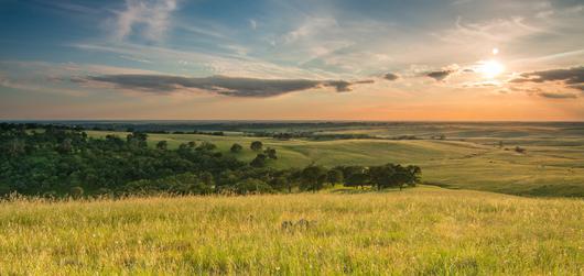 Discover the Best of El Dorado Hills