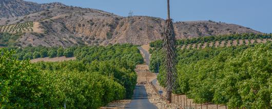 Embrace the Charm of Fillmore, California