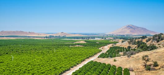 The Unseen Beauty and Benefits of Kerman, California