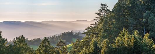 Embracing the Idyllic Charm: Discover the Wonders of Larkspur, California