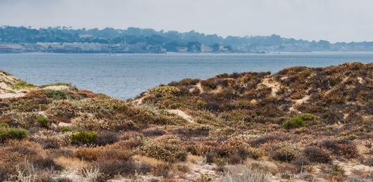 A Gem of the Golden State: Embrace the Charm of Marina, California