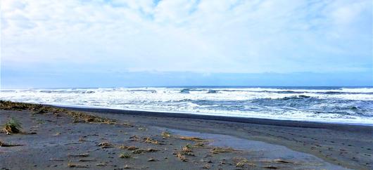 Embrace the Charm of McKinleyville: California’s Hidden Coastal Treasure