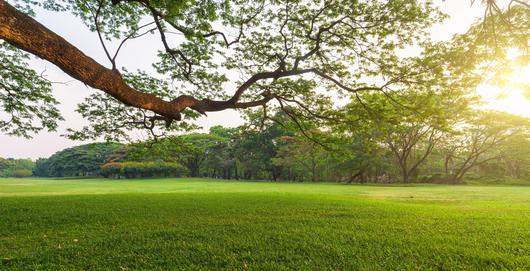 The Joy of Living in Mead Valley, California