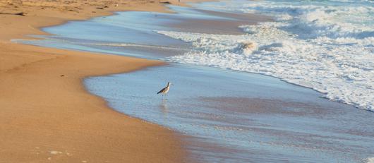 Embracing Serenity: Unveiling the Hidden Gem of Nipomo, California