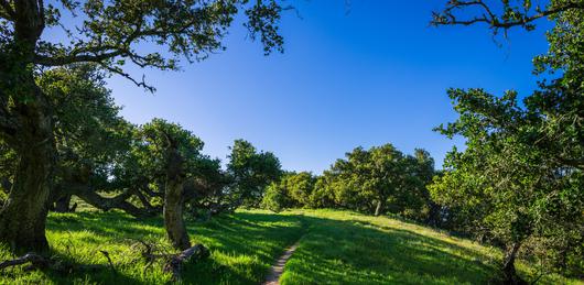 Discovering Oak Park: The Ultimate Family-Friendly California Getaway