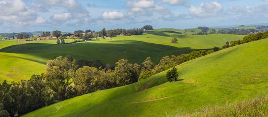 The Beauty of Petaluma: A Guide to the Best Things to Do and See