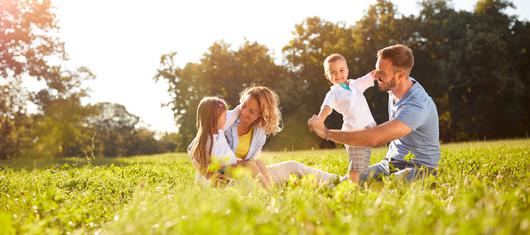 Discovering the Gem of Antelope Valley: The Charm of Rosamond, California