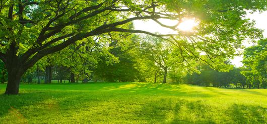 Walnut, California - A Tranquil Haven for a Perfect Getaway