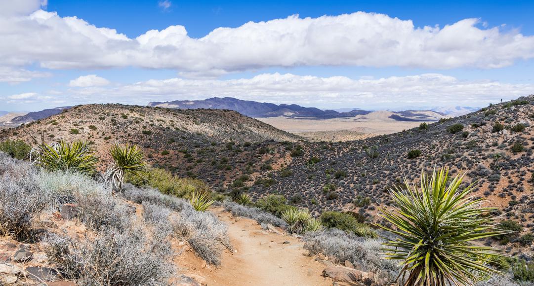 Yucca Valley, CA – Your Next Unexpected Adventure