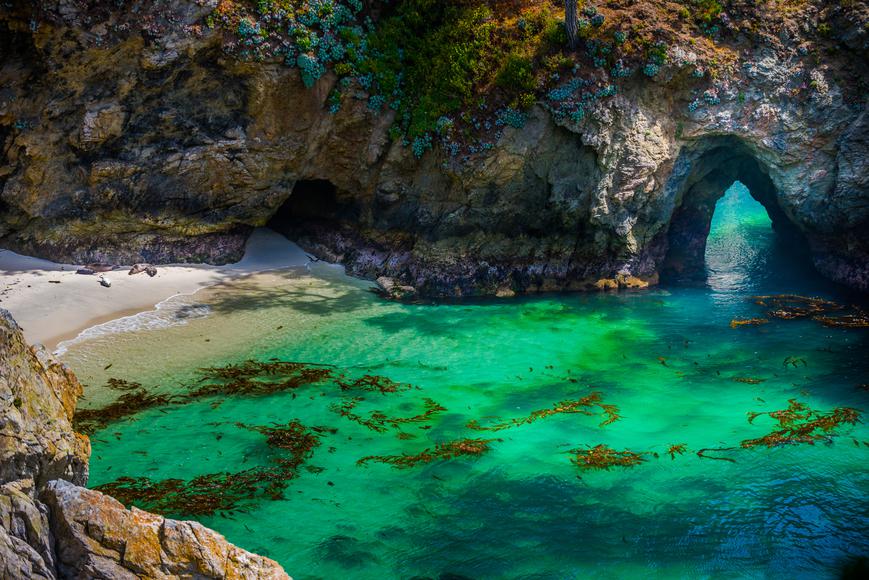 7 Beautiful Marine Reserves of California