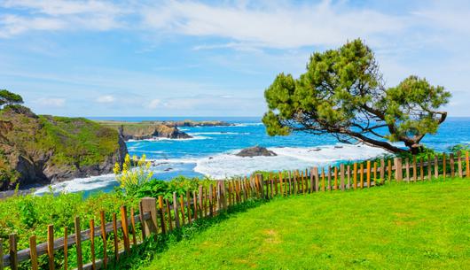 Getaway Guide: Mendocino