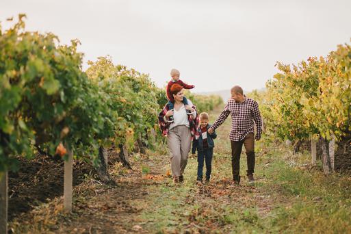 9 Mistakes to Avoid When Visiting Napa