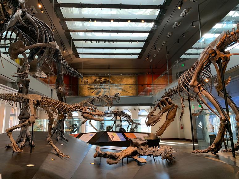 The Top Museums in SoCal