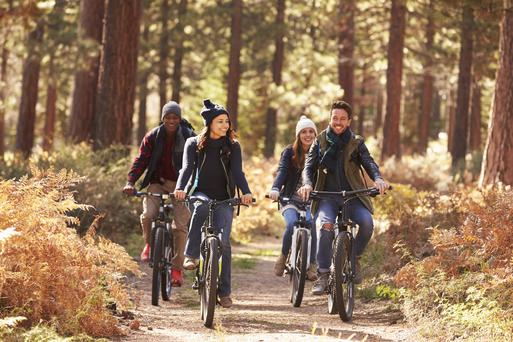 The Best Napa Bike Trails To Check out Now