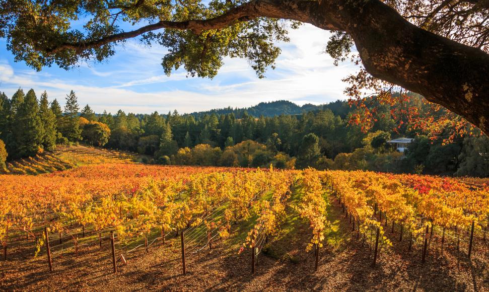 The Golden State's Best Places to Visit in the Fall