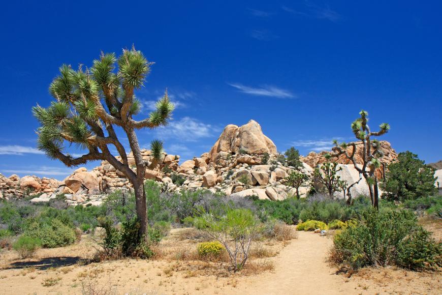 The Golden State Desert Parks That’ll Leave A Lasting Impression