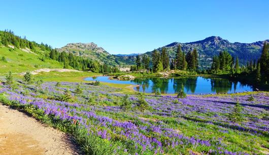 Traversing Trails: Introduction to the Pacific Crest Trail