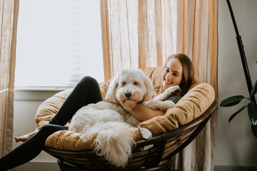 Choosing the Perfect Pet Sitter in California: Key Factors to Consider