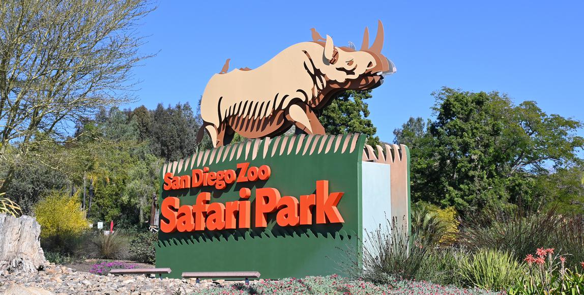 Discovering the Wonders of San Diego Zoo Safari Park