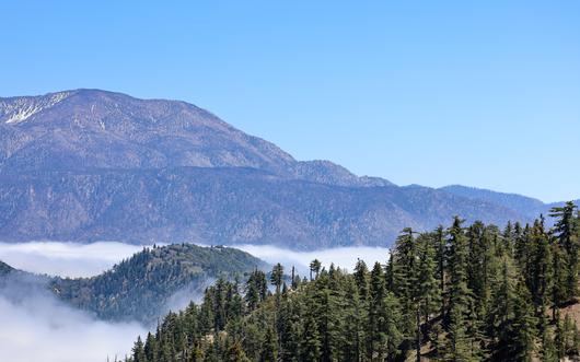The 4 Coolest National Forests in SoCal