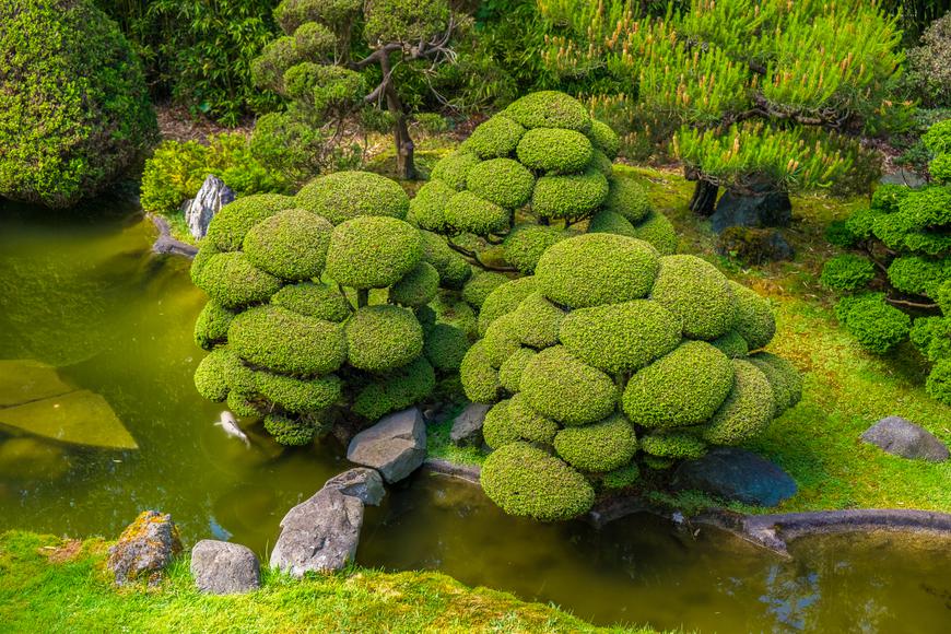 The Most Beautiful San Francisco Gardens That'll Blow Your Mind
