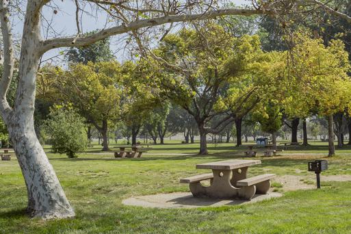 Soak up the Sun: Discover the Best Beaches Near El Monte, California