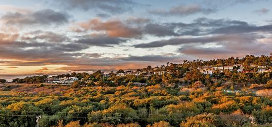 The Ultimate Museum Guide to Santa Rosa and Its Surrounding Areas