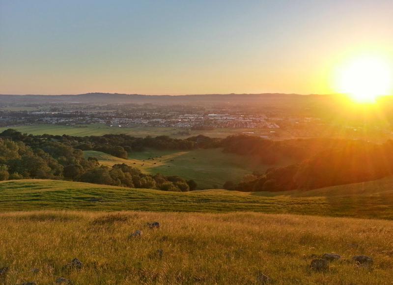 The 9 Best Parks in Santa Rosa, CA