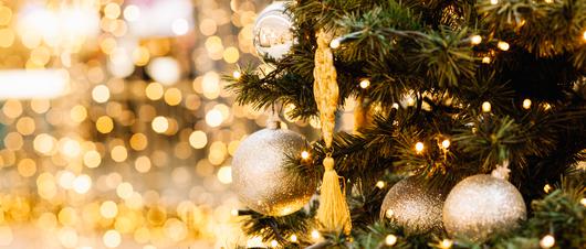 Deck The Halls: The S.F. Christmas Tree Lighting You Can't Miss