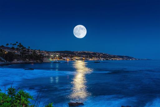 Coastline Charm: Discover the Top Beaches Near Laguna Beach, California