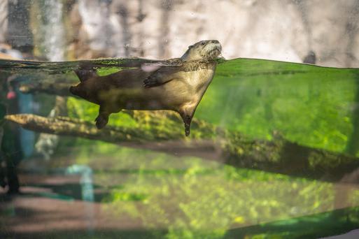 The Top 5 Museums near Half Moon Bay