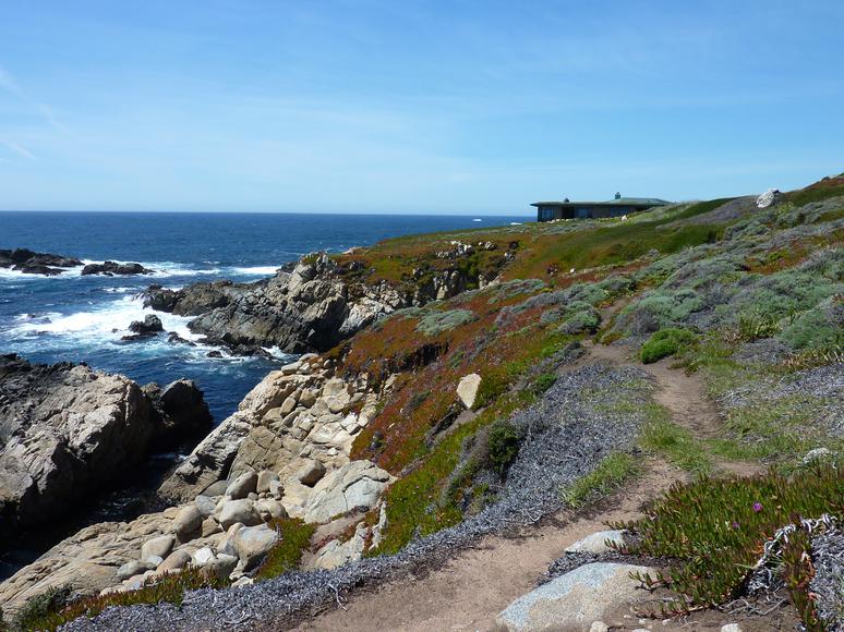 The Best Carmel-By-The-Sea Hikes to Go On Now