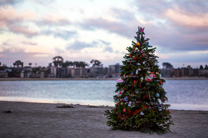 Why You Should Spend the Holidays in San Diego