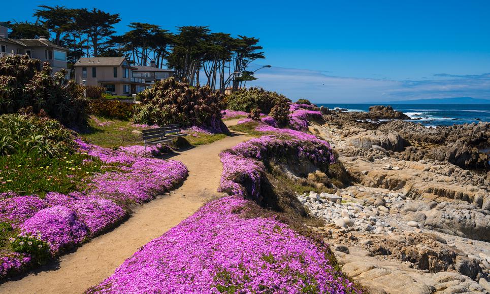 The Best Hikes in Monterey to Trek Year-Round