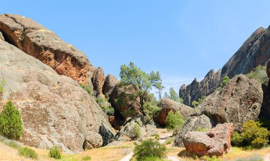 How Many National Parks are in California?