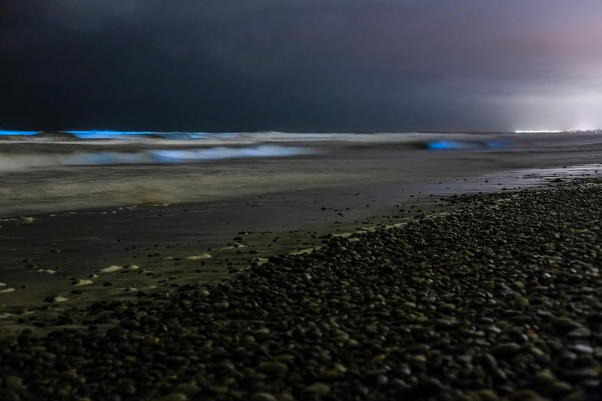How to See California Bioluminescence? What Is It? Where Does It Happen?