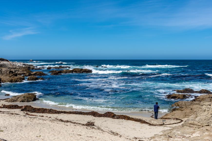 Exploring Coastal Gems: The Best Beaches Near Monterey, California