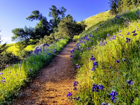 Your Guide to the Best Beaches Near San Pablo, California