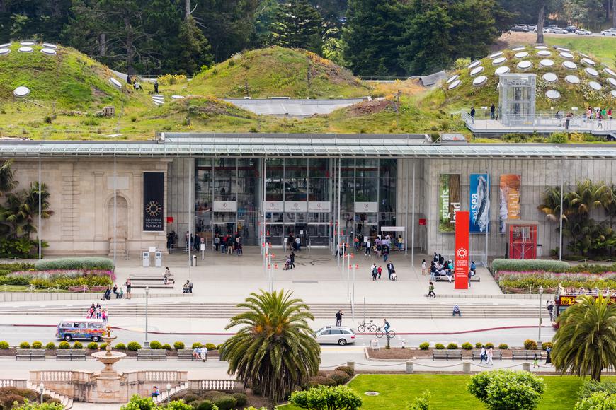 Discover the Best Museums Near Pacifica, California: A Comprehensive Guide