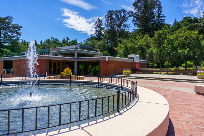 The Ultimate Guide to Visiting Los Gatos